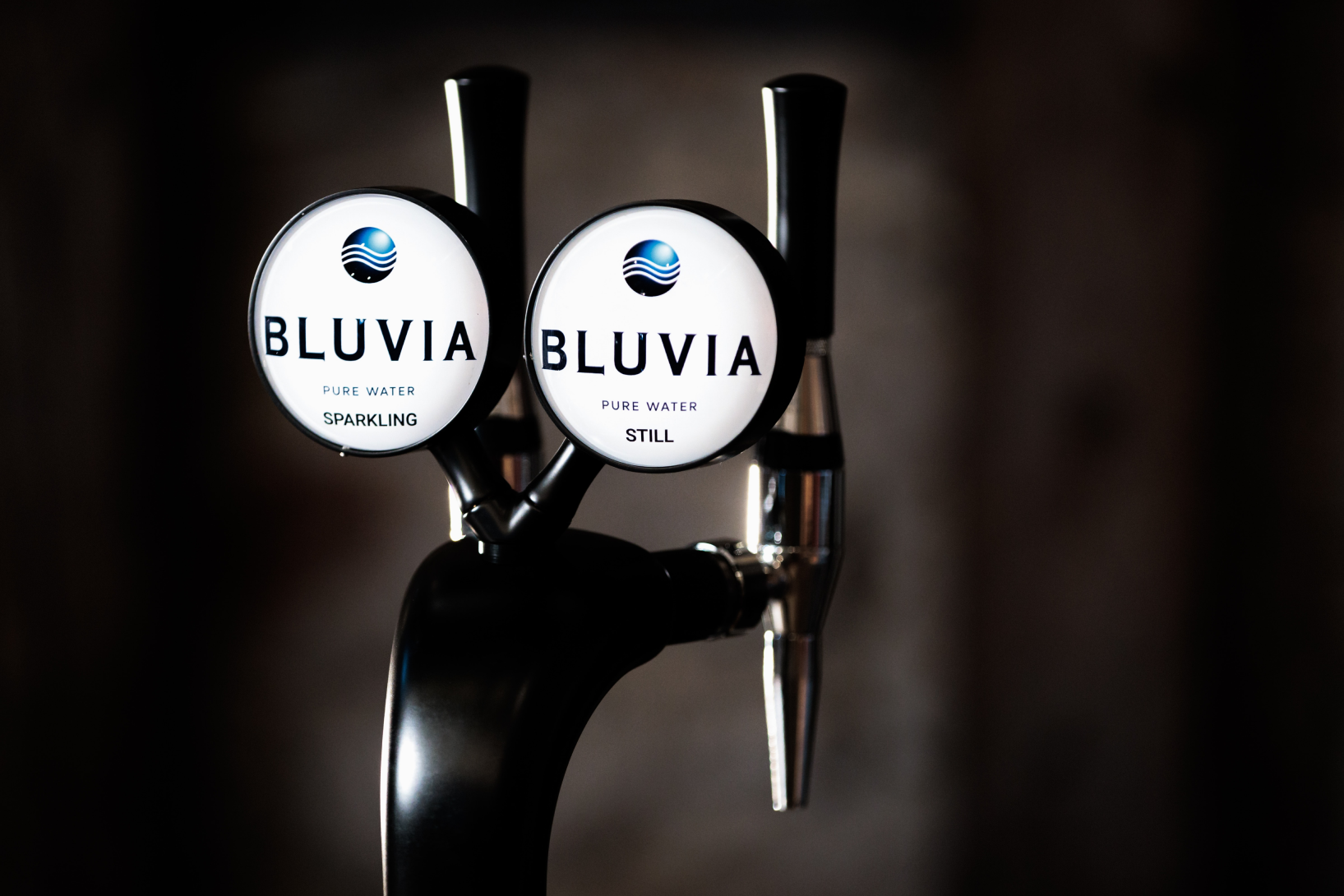 gallery image-cG9zdDoxNTY4MQ==